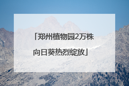郑州植物园2万株向日葵热烈绽放