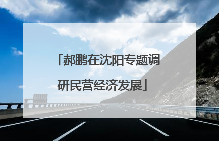 郝鹏在沈阳专题调研民营经济发展