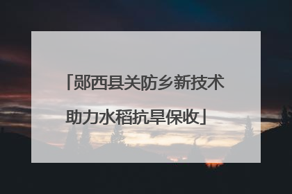 郧西县关防乡新技术助力水稻抗旱保收