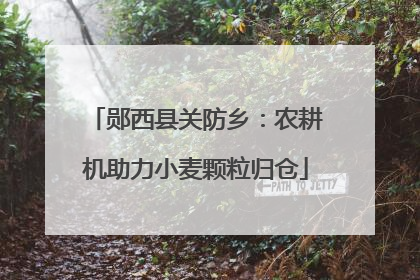 郧西县关防乡：农耕机助力小麦颗粒归仓