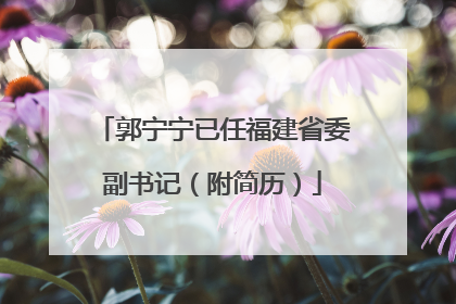 郭宁宁已任福建省委副书记（附简历）