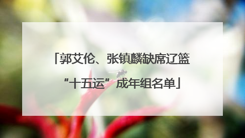 郭艾伦、张镇麟缺席辽篮“十五运”成年组名单