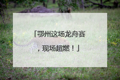 鄂州这场龙舟赛，现场超燃！