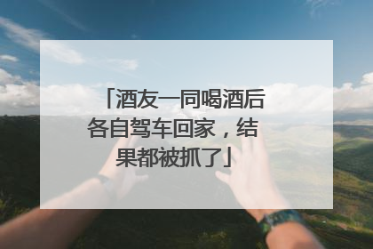 酒友一同喝酒后各自驾车回家，结果都被抓了