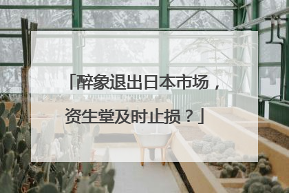醉象退出日本市场，资生堂及时止损？