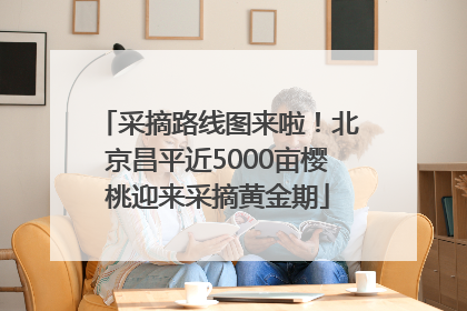 采摘路线图来啦！北京昌平近5000亩樱桃迎来采摘黄金期