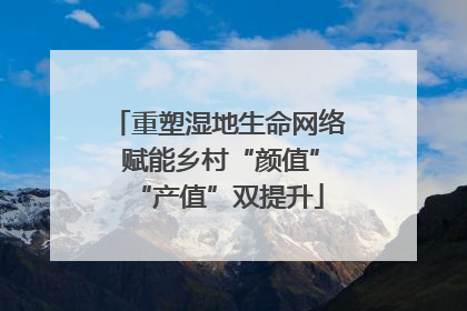 重塑湿地生命网络 赋能乡村“颜值”“产值”双提升
