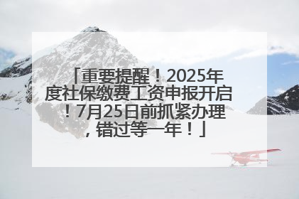 重要提醒！2025年度社保缴费工资申报开启！7月25日前抓紧办理，错过等一年！
