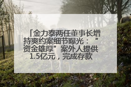 金力泰两任董事长增持爽约案细节曝光：“资金雄厚”案外人提供1.5亿元，完成存款证明后当日转回