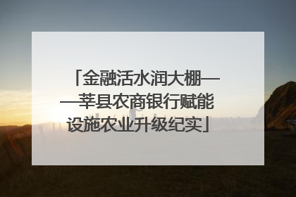 金融活水润大棚——莘县农商银行赋能设施农业升级纪实