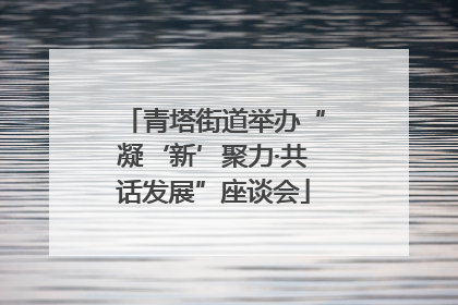 青塔街道举办“凝‘新’聚力·共话发展”座谈会