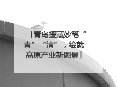 青岛援藏妙笔“青”“清”，绘就高原产业新图景