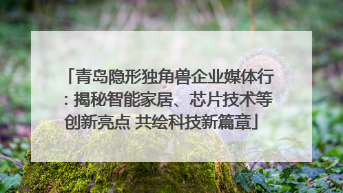 青岛隐形独角兽企业媒体行：揭秘智能家居、芯片技术等创新亮点 共绘科技新篇章