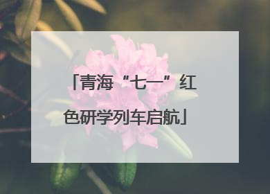 青海“七一”红色研学列车启航