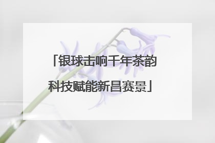 银球击响千年茶韵 科技赋能新昌赛景