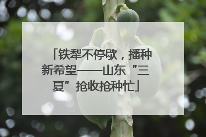 铁犁不停歇，播种新希望——山东“三夏”抢收抢种忙