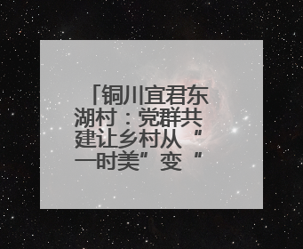 铜川宜君东湖村：党群共建让乡村从“一时美”变“持久美”