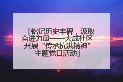 铭记历史丰碑，汲取奋进力量——大成社区开展“传承抗洪精神”主题党日活动
