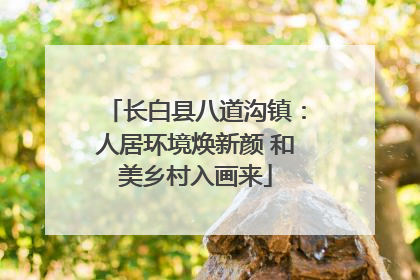 长白县八道沟镇：人居环境焕新颜 和美乡村入画来