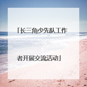 长三角少先队工作者开展交流活动