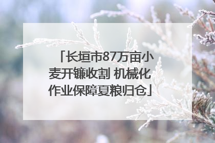 长垣市87万亩小麦开镰收割 机械化作业保障夏粮归仓