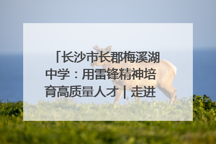 长沙市长郡梅溪湖中学：用雷锋精神培育高质量人才｜走进新时代“雷锋传人 长沙榜样”