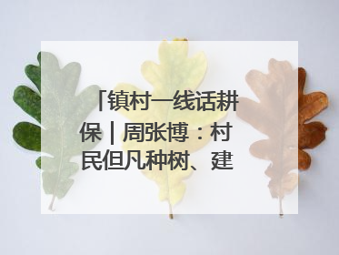 镇村一线话耕保｜周张博：村民但凡种树、建棚、盖房，都要向街道报批