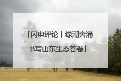 闪电评论丨绿潮奔涌 书写山东生态答卷