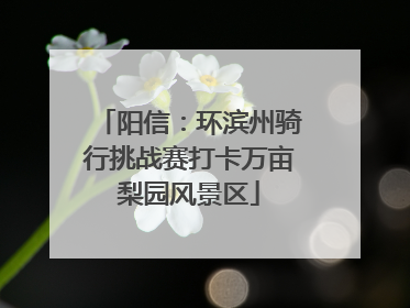 阳信：环滨州骑行挑战赛打卡万亩梨园风景区