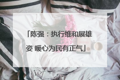 陈强：执行维和展雄姿 暖心为民有正气