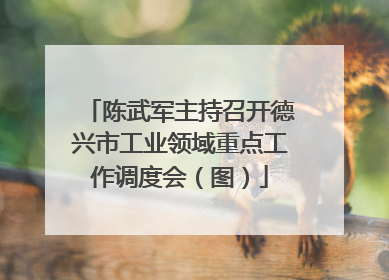 陈武军主持召开德兴市工业领域重点工作调度会（图）