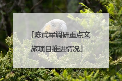 陈武军调研重点文旅项目推进情况