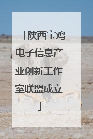 陕西宝鸡电子信息产业创新工作室联盟成立