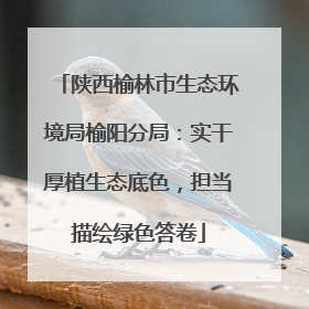 陕西榆林市生态环境局榆阳分局：实干厚植生态底色，担当描绘绿色答卷
