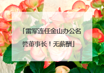 雷军连任金山办公名誉董事长！无薪酬