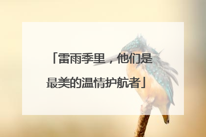 雷雨季里，他们是最美的温情护航者
