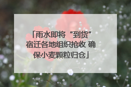 雨水即将“到货” 宿迁各地组织抢收 确保小麦颗粒归仓