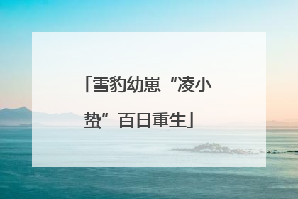 雪豹幼崽“凌小蛰”百日重生