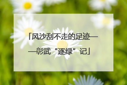 风沙刮不走的足迹——彰武“逐绿”记