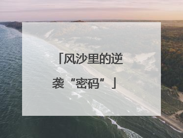 风沙里的逆袭“密码”