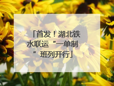 首发！湖北铁水联运“一单制”班列开行