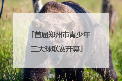 首届郑州市青少年三大球联赛开幕