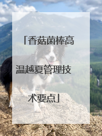 香菇菌棒高温越夏管理技术要点