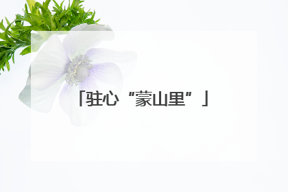驻心“蒙山里”