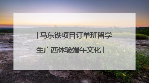 马东铁项目订单班留学生广西体验端午文化