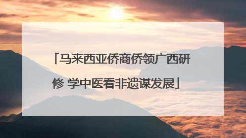 马来西亚侨商侨领广西研修 学中医看非遗谋发展