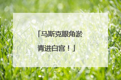 马斯克眼角淤青进白宫！