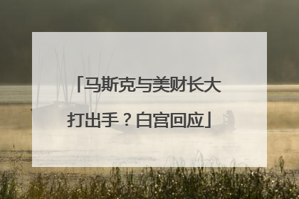 马斯克与美财长大打出手？白宫回应