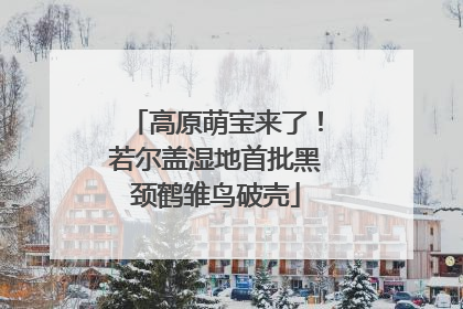高原萌宝来了！若尔盖湿地首批黑颈鹤雏鸟破壳