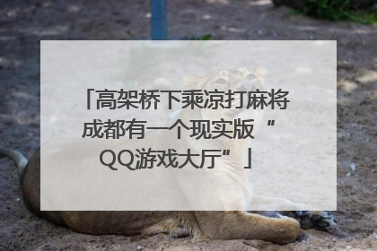 高架桥下乘凉打麻将 成都有一个现实版“QQ游戏大厅”